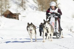 Spluegen 2014