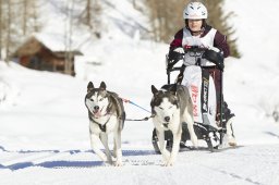 Spluegen 2014