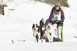 Spluegen 2014