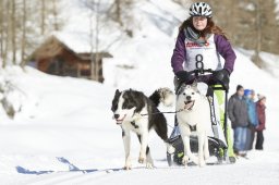 Spluegen 2014