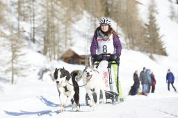 Spluegen 2014