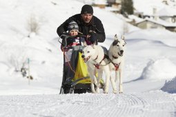Spluegen 2014