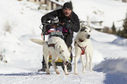 Spluegen 2014