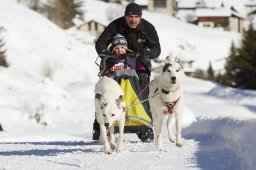 Spluegen 2014
