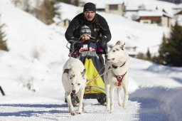 Spluegen 2014