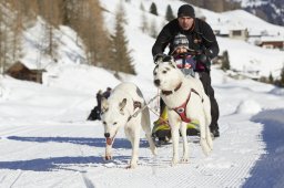 Spluegen 2014