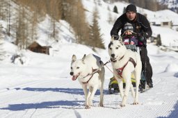 Spluegen 2014