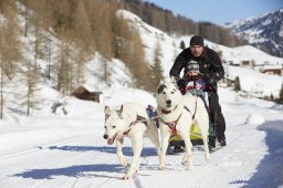 Spluegen 2014