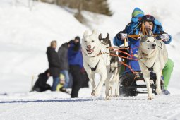 Spluegen 2014