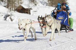 Spluegen 2014