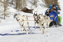 Spluegen 2014