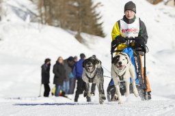 Spluegen 2014