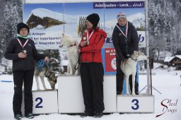 Lenk 2015