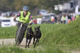 Weinfelden 2024