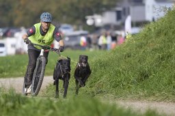 Weinfelden 2024