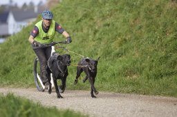 Weinfelden 2024