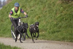 Weinfelden 2024