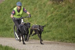 Weinfelden 2024