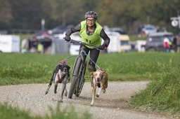 Weinfelden 2024