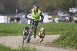 Weinfelden 2024