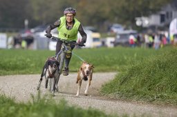 Weinfelden 2024