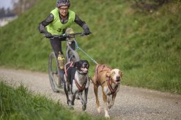 Weinfelden 2024