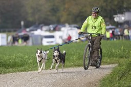 Weinfelden 2024