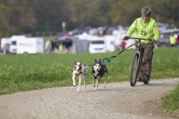 Weinfelden 2024