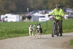 Weinfelden 2024