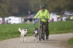 Weinfelden 2024