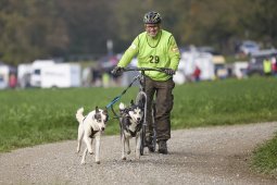 Weinfelden 2024