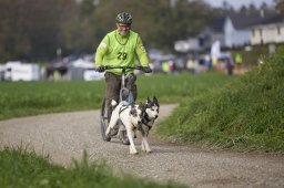 Weinfelden 2024