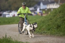 Weinfelden 2024