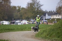 Weinfelden 2024