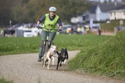 Weinfelden 2024