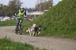 Weinfelden 2024