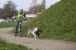 Weinfelden 2024