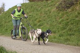 Weinfelden 2024