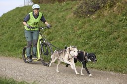 Weinfelden 2024