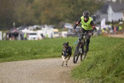 Weinfelden 2024