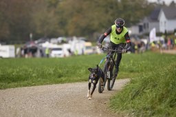 Weinfelden 2024