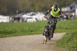 Weinfelden 2024