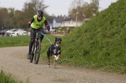 Weinfelden 2024