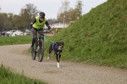 Weinfelden 2024