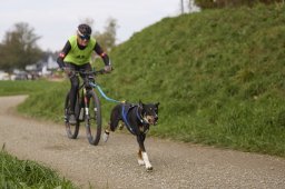 Weinfelden 2024