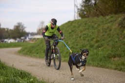 Weinfelden 2024