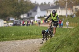 Weinfelden 2024
