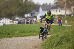 Weinfelden 2024