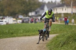 Weinfelden 2024