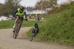 Weinfelden 2024